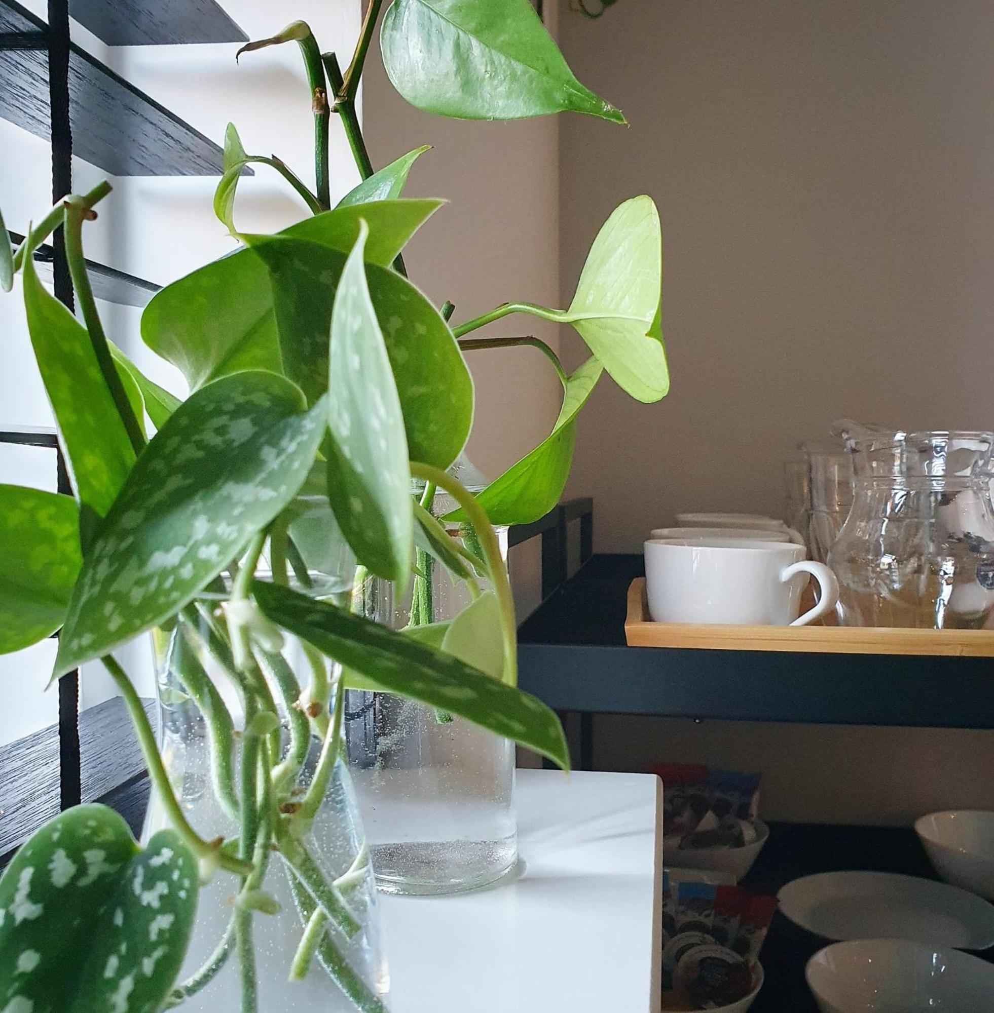 Bed And Breakfast 'Wij En De Zande' Kamperveen Exteriér fotografie